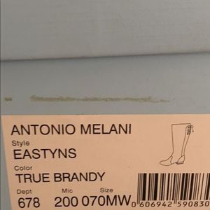 Antonio melani boots